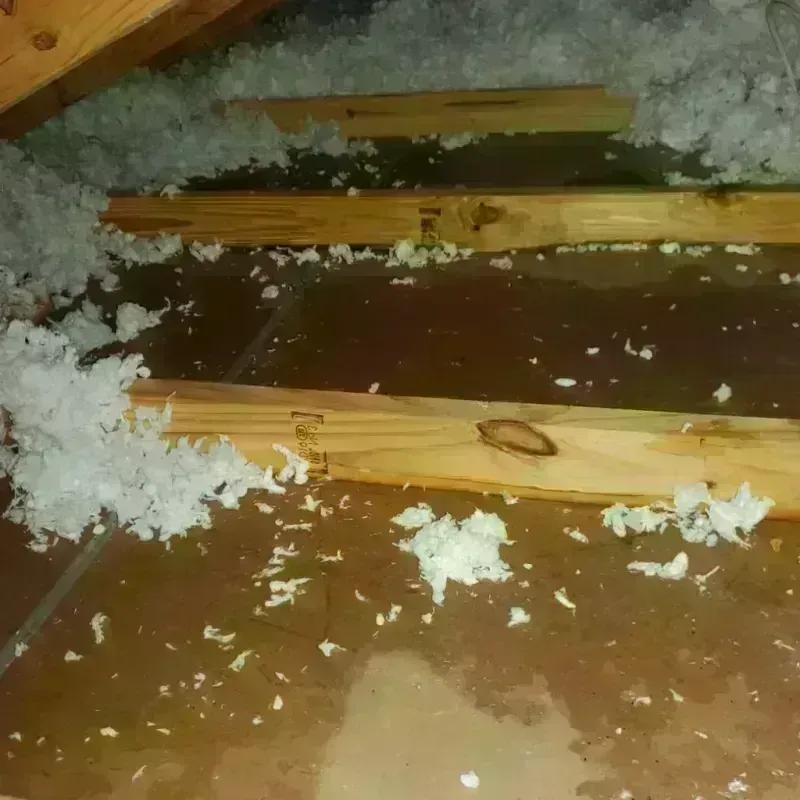 Attic Water Damage in Denver City, TX