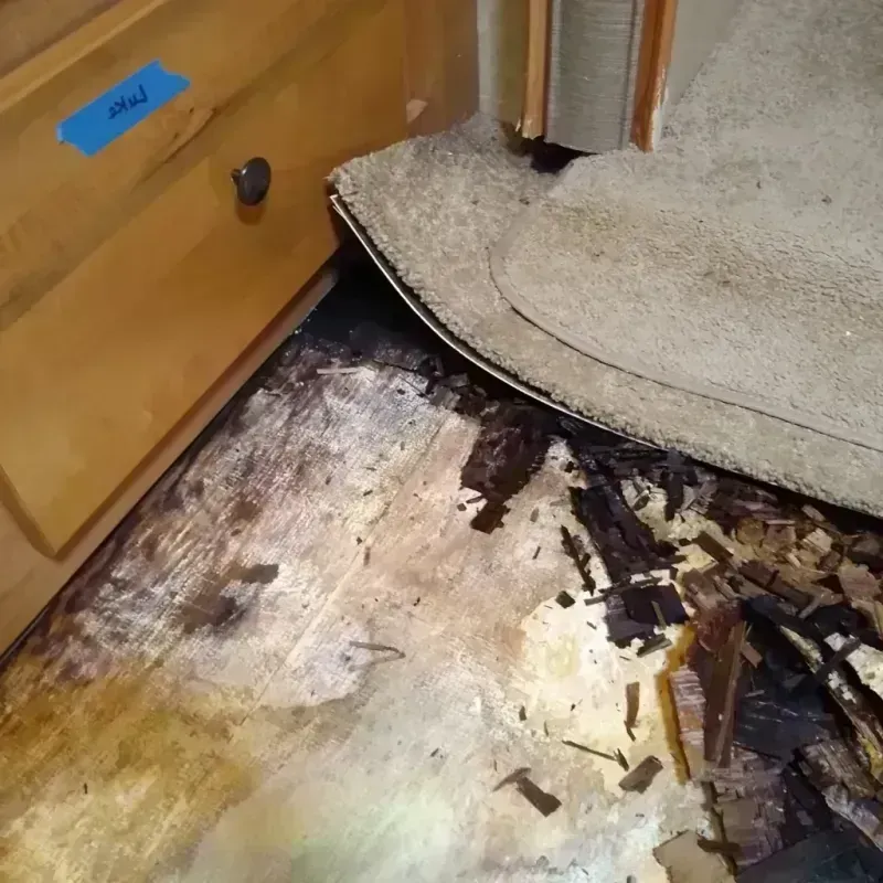 Wood Floor Water Damage in Denver City, TX